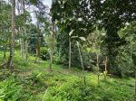 thumbnail-kebun-durian-dan-manggis-los-sungai-indah-di-bali-5