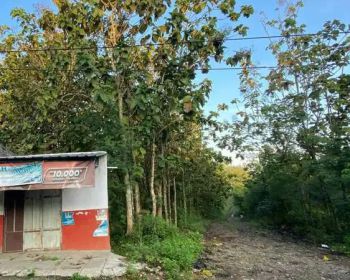 Dijual Kavling Tanah 90 m2 31,5 Juta. Lokasi Kawengen Ungaran Timur