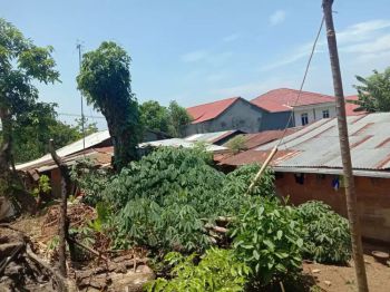 Tanah hak milik pribadi