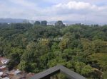 thumbnail-kontrakan-cantik-dengan-view-kebun-binatang-12