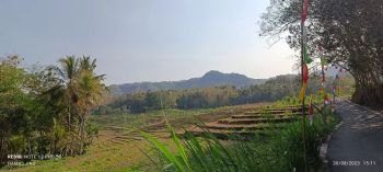 Tanah pekarangan murah dekat Kopi Ampirono