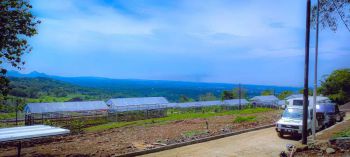 DIJUAL TANAH PERKEBUNAN MURAH