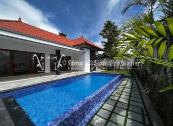 Brand New Villa Away Canggu It 670, Minimum 3 Years Lease