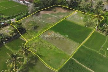 Ricefield View Land In Kemenuh Ubud Gianyar Bali