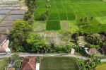 thumbnail-ricefield-view-land-in-kemenuh-ubud-gianyar-bali-1