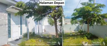 Disewakan/Dikontrakkan Rumah Sejuk di Wagir Malang, Murah Strategis