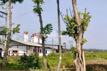 Tanah Lokasi Strategis Nol Jalan Raya Kebonagung Pakisaji Malang Dn571