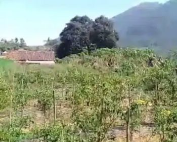 Sell Tanah: Tanah dikopeng murah