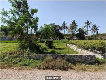 Tanah Murah Ngaglik Sleman Dekat Warung Watoe Gadjah, SHM