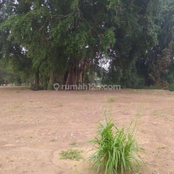 Tanah 12608 HGB Harga njop dan mogot