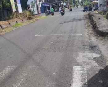 sawah murah dicatur harjo sleman
