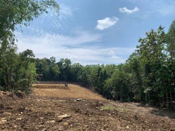 Beli Properti Selagi Harga Belum Meninggi, Tanah Cocok Investasi