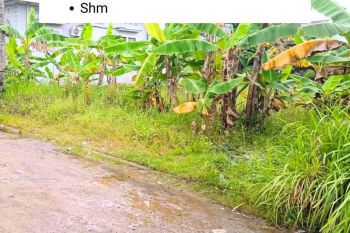 Dijual tanah Bukit JL Lunjuk