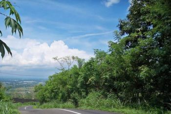 Disewakan Tanah Luas Pasuruan