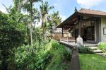 thumbnail-buy-12-are-land-and-get-2-bungalows-at-monkey-forest-ubud-bali-0
