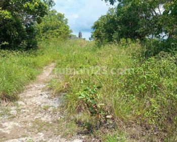 Land For Rent Nusa Penida Cliff