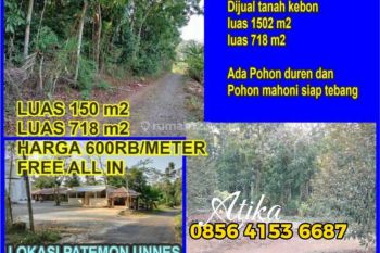 Tanah Kebun Dijual Luas 1500 Meter