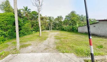 SHMP 1309m2 Tepi Jl Cangkringan Dekat Jl Kaliurang Km 19, Pasar Pakem