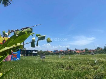 Hot List Di Jual Tanah Lokasi Jalan Semat Tibubeneng Canggu Kuta Utara Badung