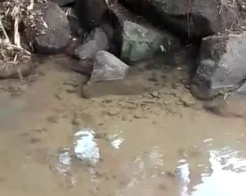 Tanah Seluas 4 Hektar Dan Ada Sumber Mata Air Di Subang