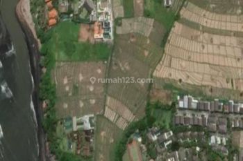 Disewakan Tanah 5 Are Di Pantai Cemagi, Cemagi SHM - Sertifikat Hak Milik