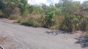 10 are dekat pantai tanah barak kutuh
