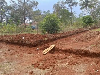 [Tanahmurahsemarang] Mijen