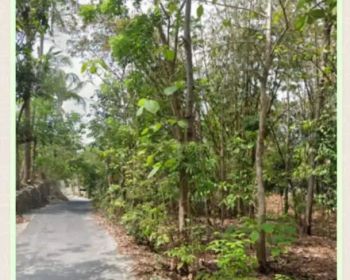 Tanah 344m ld 20 Tegaldowo dekat Bantul kota