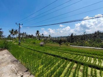 Dijual Tanah di Ubud View Gunung Sawah Rice Teracce