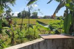 thumbnail-bf-land-for-lease-located-in-umalas-tunon-3