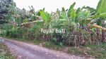 thumbnail-tanah-land-with-good-area-in-jembrana-bal-3
