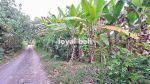 thumbnail-tanah-land-with-good-area-in-jembrana-bal-2