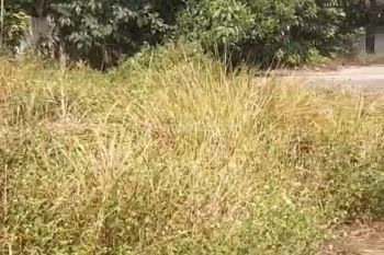 Lahan kosong cocok untuk pool truk, bis dan fungsi lain