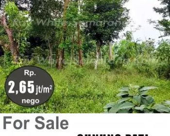 DIJUAL TANAH DI GUNUNG PATI K8124