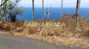 Jual Tanah 183 Are Hadap Timur Kontur Tanah Terasering Suana Nusa Peni