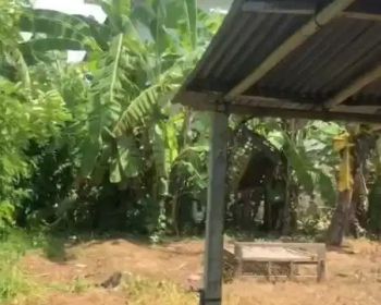 Dijual tanah lokasi Lodtunduh, Ubud, Gianyar