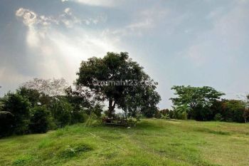 murah Tanah Nol Jalan Kemiri Pacet Murah Banget