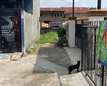 Jual Tanah Tembung Pasar 9