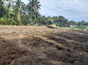 Tanah Dekat Bandara YIA,View Sawah,Asri cocok bangun Villa