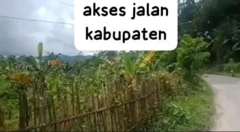 Di Juall Tanah Kebun Murah Pinggir Jalan Kabupaten