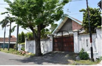 Lompo batang daerah petemon hit tanah