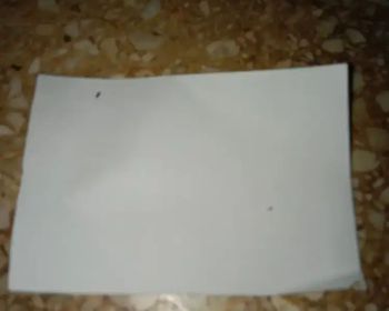 Sell Tanah: Dijual Tanah 12x20