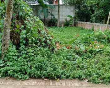 Dijual tanah darat luas 100mt jln coran masuk mobil cocok buat rumah