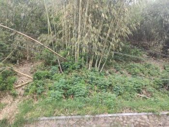 Jual Cepat Tanah Strategis Cigugur Girang, Dekat The Peak Parongpong