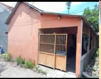 Rent Rumah Kosan: Terima kos putra