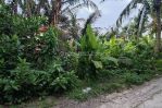 thumbnail-tanah-sewa-dekat-ke-pantai-saba-gianyar-2