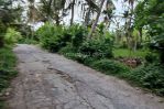 thumbnail-tanah-sewa-dekat-ke-pantai-saba-gianyar-4