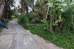 thumbnail-tanah-sewa-dekat-ke-pantai-saba-gianyar-7