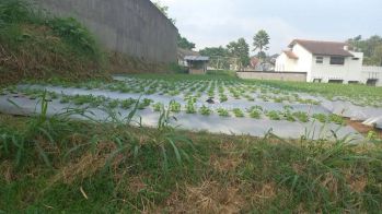 kavling di Setiabudi regency view kota bandung