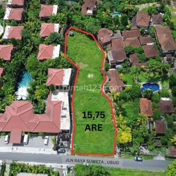 Land For Lease In Suweta Ubud Bali Prime Area